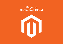 Magento primera Web o Blog